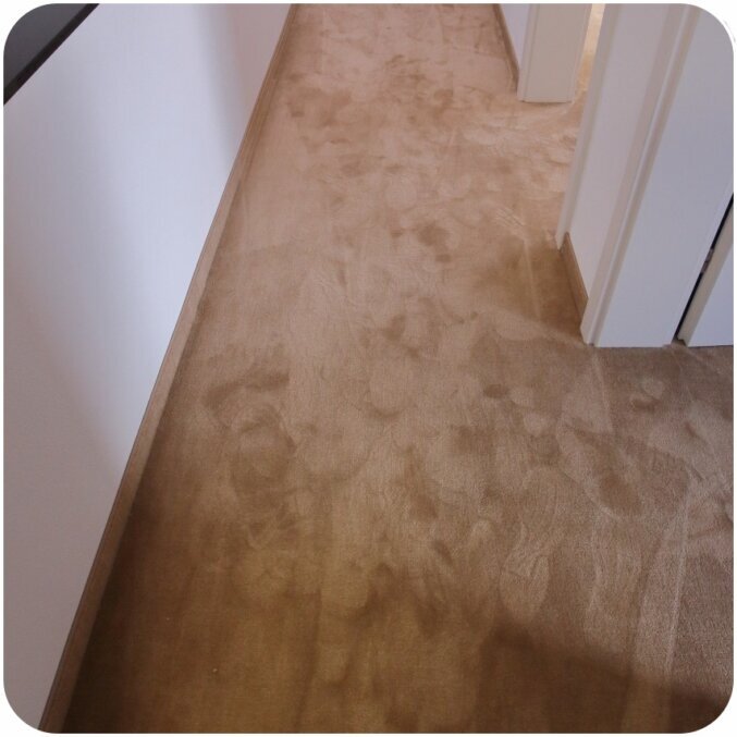 Raumbild eines Flurs mit einem Teppichboden. Der Teppichboden hat ein helles Braun, welches im Kontrast zur weißen Wand steht. Die sichtbarenTeppichsockelleisten bestehen aus dem gleichen Material und haben daher die gleiche Farbe. Auf der Oberfläche des Teppichbodens sind teilweise Fußabdrücke im Teppichflor erkennbar, die beim Belaufen entstanden sind.